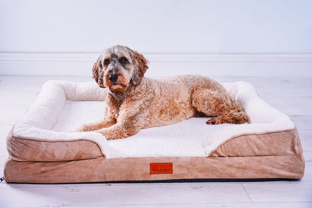 Washable Luxury Dog Sofa Bed - XL