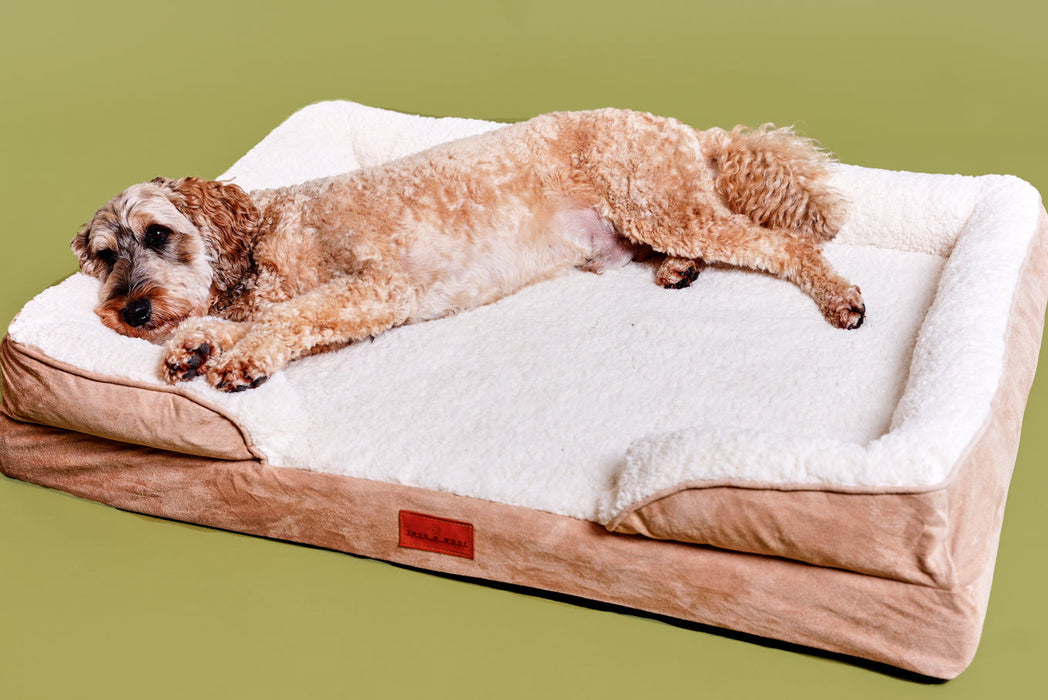 Washable Luxury Dog Sofa Bed - XL
