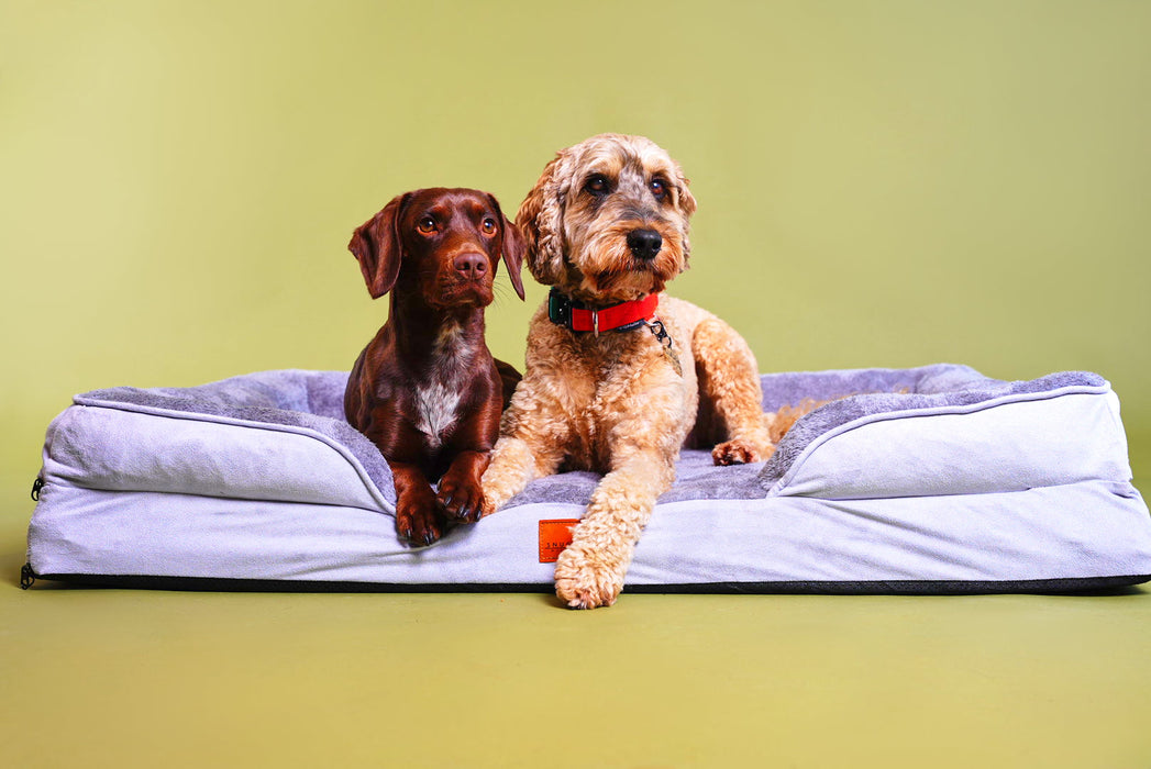 Washable Luxury Dog Sofa Bed - XL