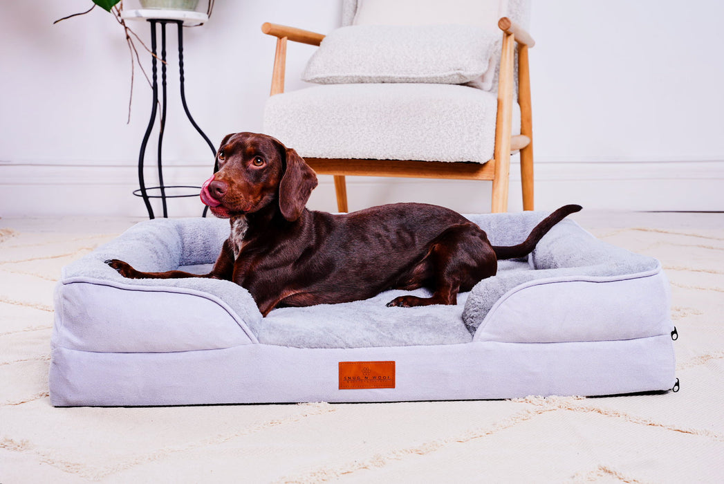 Washable Luxury Dog Sofa Bed - Medium