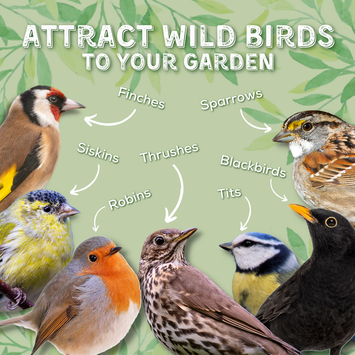 Copdock Mill Seed & Grain Wild Bird Mix – product image 4