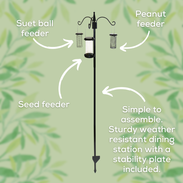Complete Dining Station with 3 Feeders