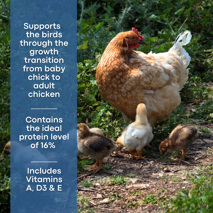 Copdock Mill Poultry Growers Pellets - product image 3