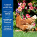 Copdock Mill Super Mixed Corn 5kg - product image 3