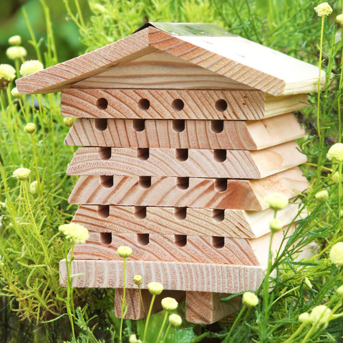 Solitary Bee Hive - Summer Special Offer - 3% OFF
