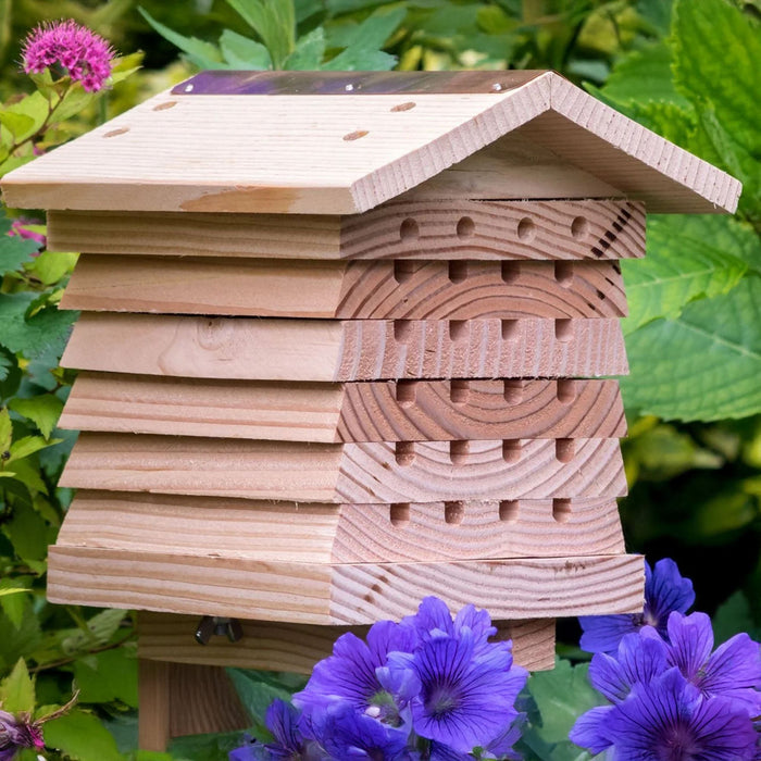 Solitary Bee Hive - Summer Special Offer - 3% OFF