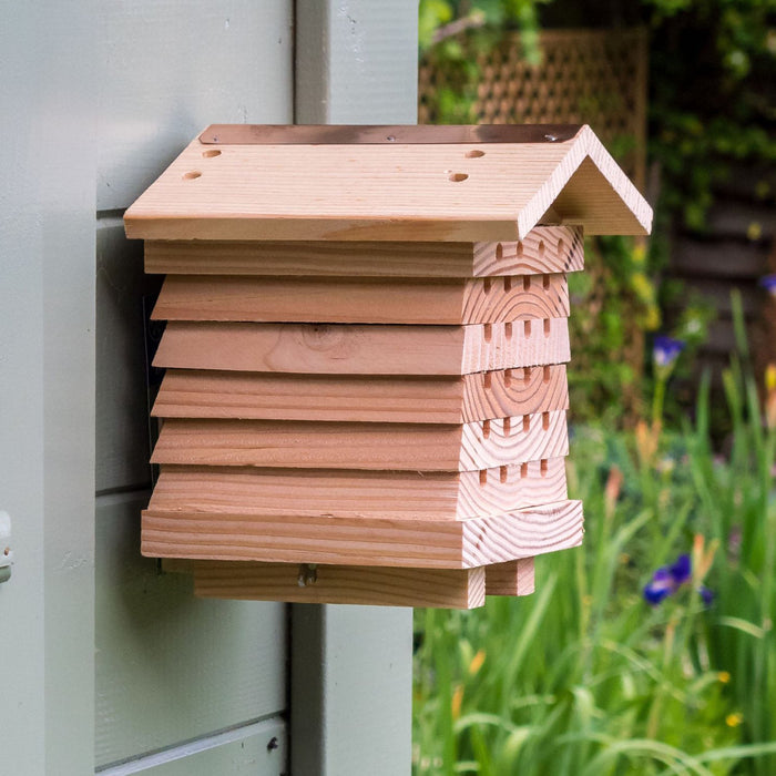 Solitary Bee Hive - Summer Special Offer - 3% OFF