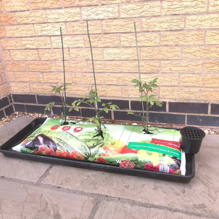 Speed Feed Complete Watering System - Pack of 1 - Chestnut Mill