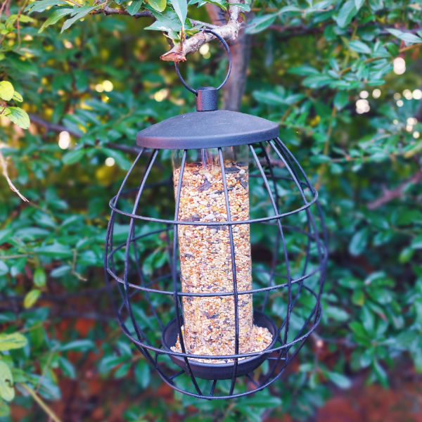 Twist & Release Squirrel Resistant Seed Feeder