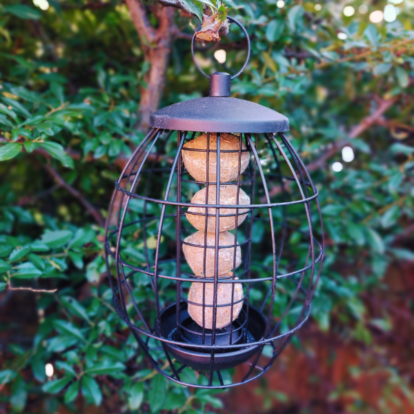 Twist & Release Squirrel Resistant Fatball Feeder