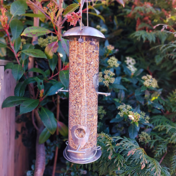 Stainless Steel Heavy Duty Seed Feeder