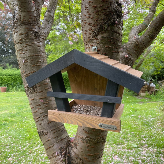 Stylish Hanging Bird Feeder