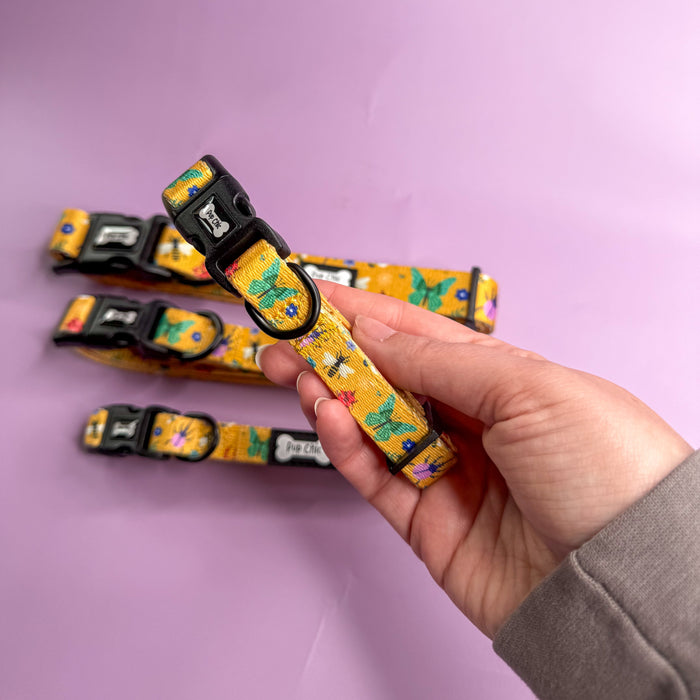 Summer Buzzin’ Dog Collar