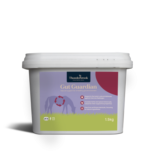 Thunderbrook Gut Guardian 1.5kg