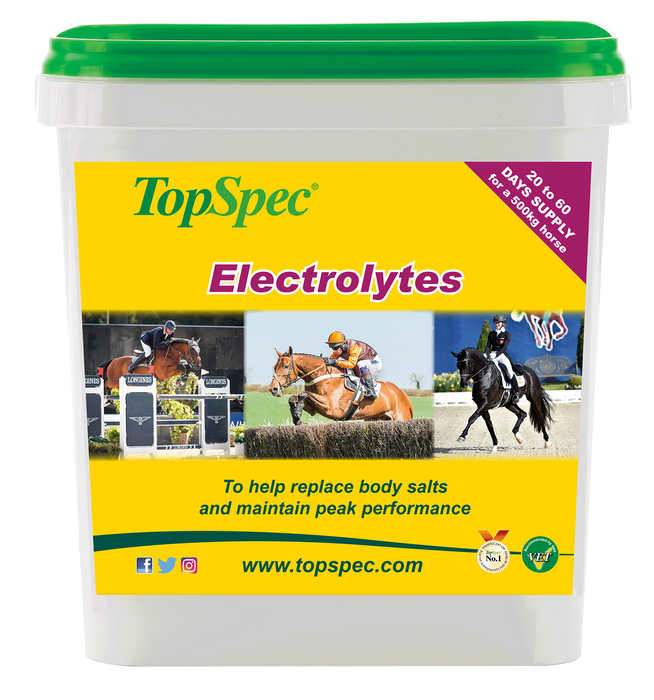 Top Spec Electrolytes - Various Sizes