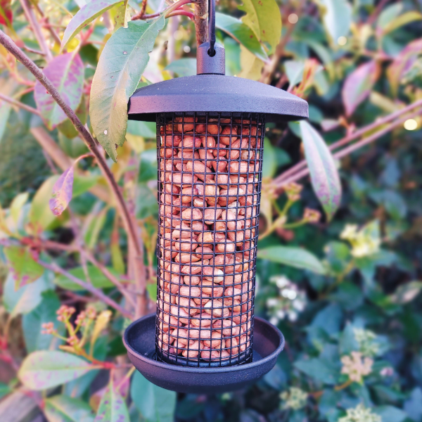 Twist & Release Steel Peanut Feeder Small