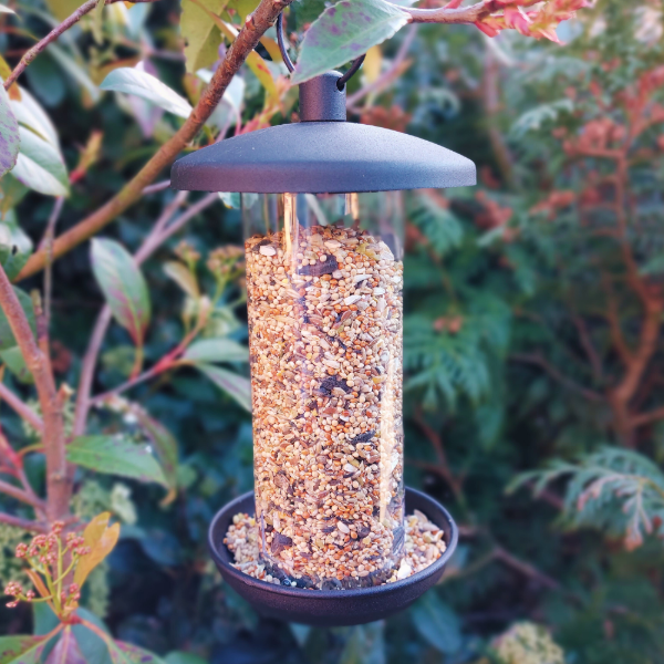 Twist & Release Steel Seed Feeder