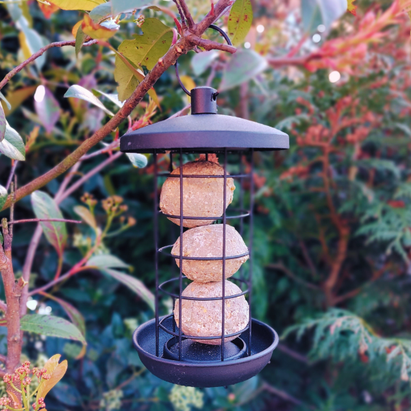 Twist & Release Steel Suet Ball Feeder Small