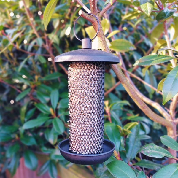 Twist & Release Steel Sunflower Hearts Feeder Small