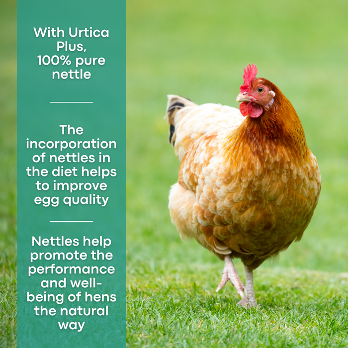 Copdock Mill Range Layers Pellets with Urtica & Nettle - product image 4