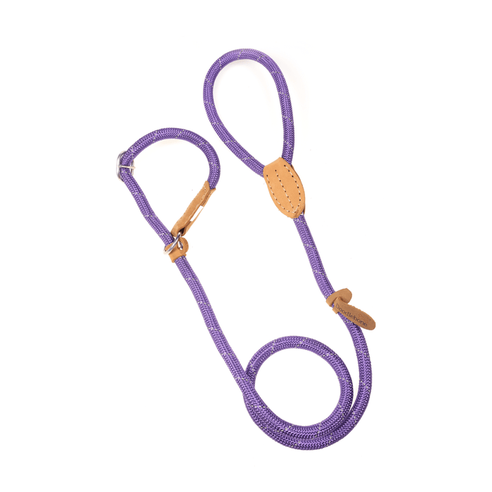 Doodlebone Slip Dog Lead  - Various Colours & Sizes