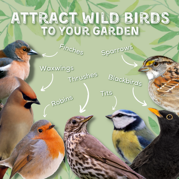 Copdock Mill Berry Feast Wild Bird Mix – product image 3