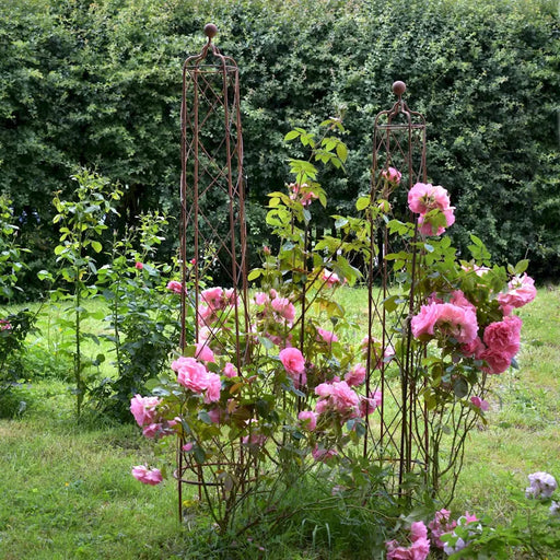 WIREWORK GARDEN OBELISK - SET OF 2 - 1.8m - DARK RUST Ascalon