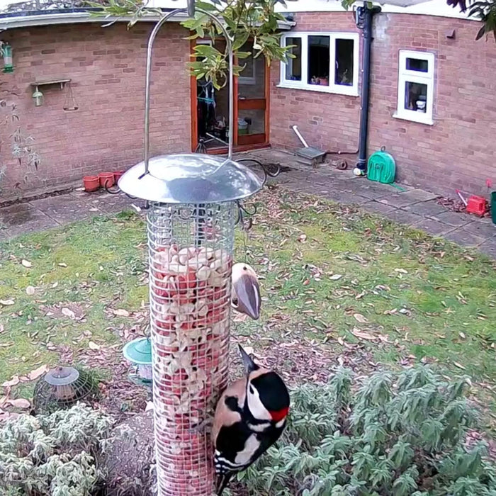 WiFi Bird Feeder HD Camera Pack