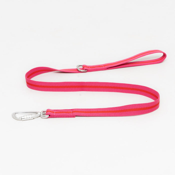 Ruff & Tumble All-Terrain canvas dog lead in Fuchsia / Scarlet