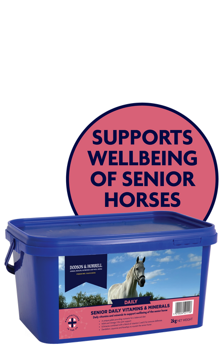 Dodson & Horrell Senior Daily Vits & Mins 2 kg