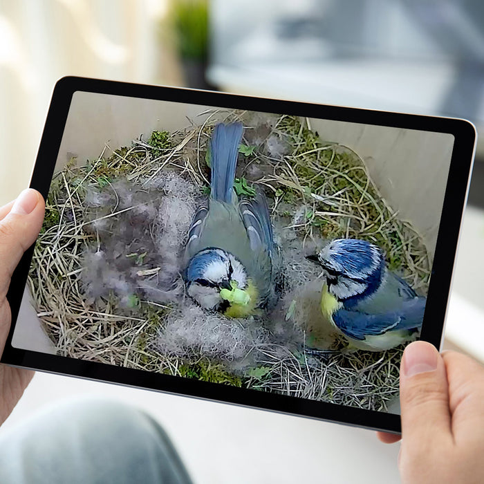 WiFi Bird Box HD Camera Complete Pack