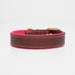 Ruff & Tumble Blakeney canvas leather dog collar in Fuchsia and Scarlet