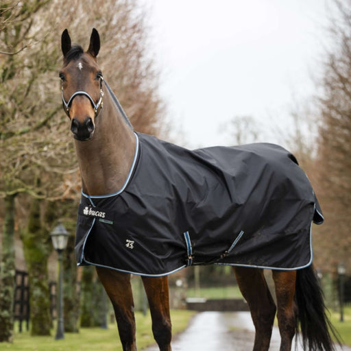 Bucas Anniversary Turnout Rug 100g Stay-Dry in Black/Sapphire without neck cover