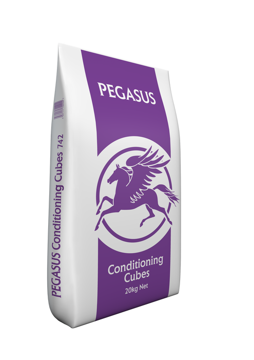 Pegasus Conditioning Cubes 20kg horse feed bag