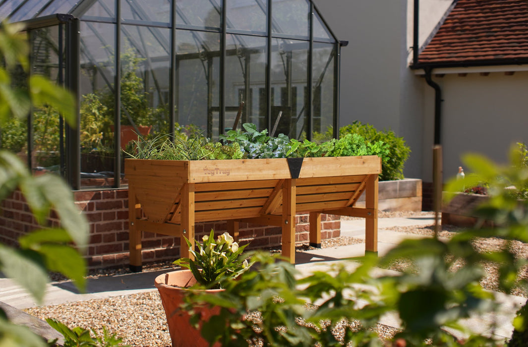 VegTrug Medium - Natural (FSC 100%)