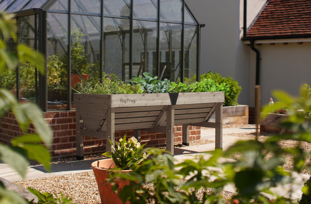 VegTrug Medium - Grey Wash (FSC 100%)