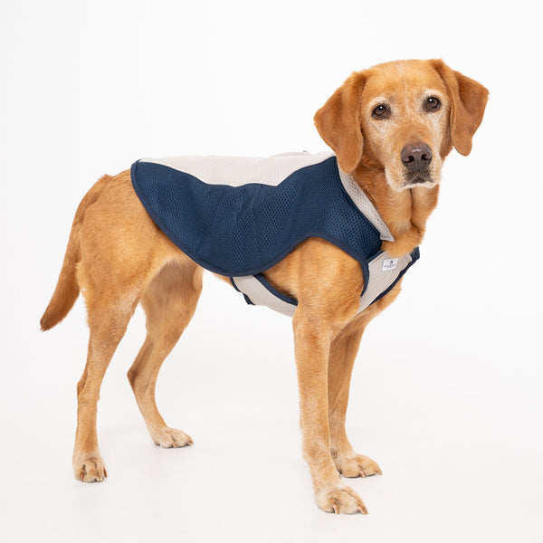 Dog Cooling Coat - Ruff & Tumble - SPECIAL OFFER - 10% OFF
