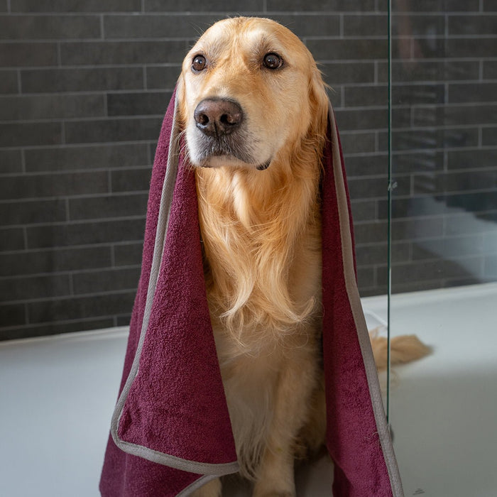 Ruff & Tumble Dog Drying Towel in Burgundy – view 2