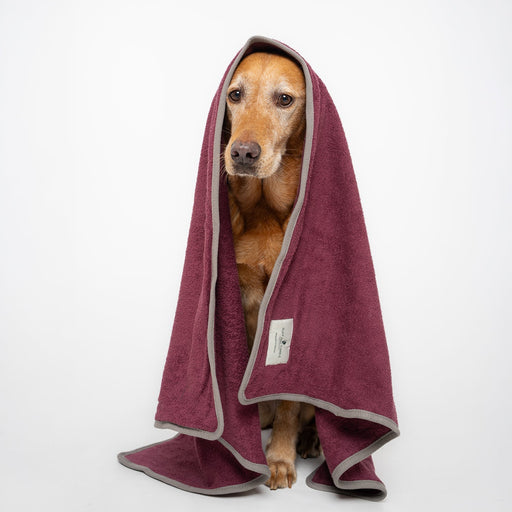 Ruff & Tumble Dog Drying Towel in Burgundy