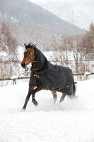 Bucas Irish Turnout Rug & Neck Cover Set 50g – Black/Gold