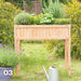 Front view of the Jagram Home Garden raised larch planter filled with herbs