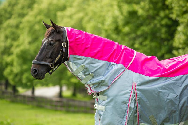 Swish Fly Turnout Combination Rug – Pink