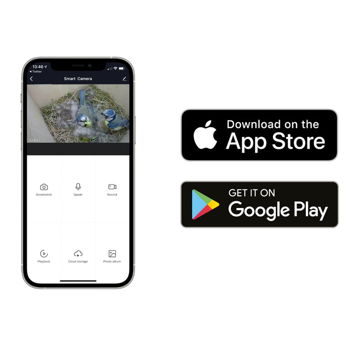 WiFi Bird Box HD Camera Starter Pack