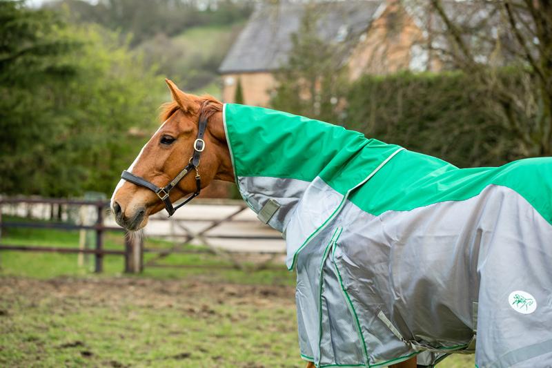Swish Mesh Fly Turnout Combination Rug – Green