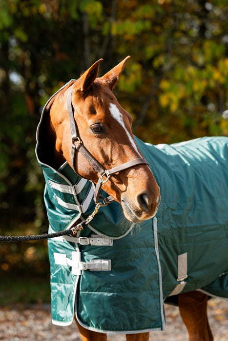 Swish 100g Detachable-Neck Stable Rug – Hunter Green – image 3