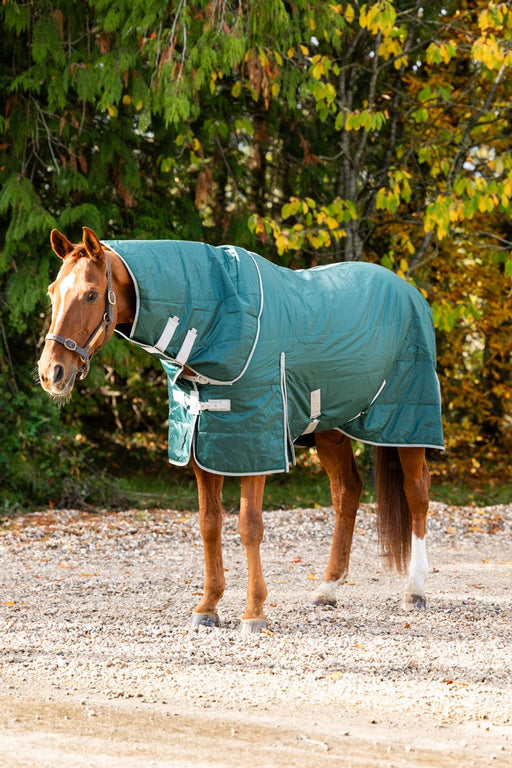 Swish 100g Detachable-Neck Stable Rug – Hunter Green – image 2
