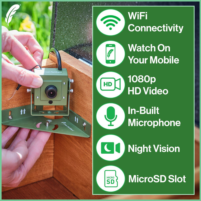 WiFi Hedgehog Box HD Camera Pack
