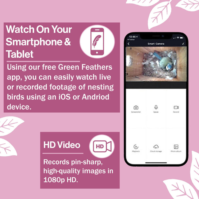 Wired Network Bird Box & Wildlife HD Camera PoE Version