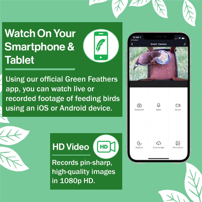 WiFi Hugo Bird Table HD Camera Pack