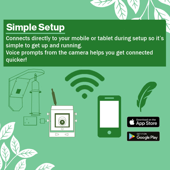 WiFi Bird Feeder HD Camera Pack